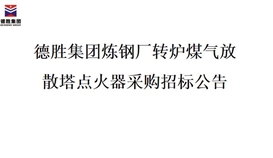 德勝集團(tuán)煉鋼廠轉(zhuǎn)爐煤氣放散塔點(diǎn)火器招標(biāo)項(xiàng)目