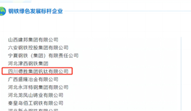 沙灣發布6月6日報道:釩鈦榮獲“綠色發展標桿企業”